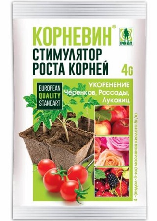 Корневин 4(5) гр